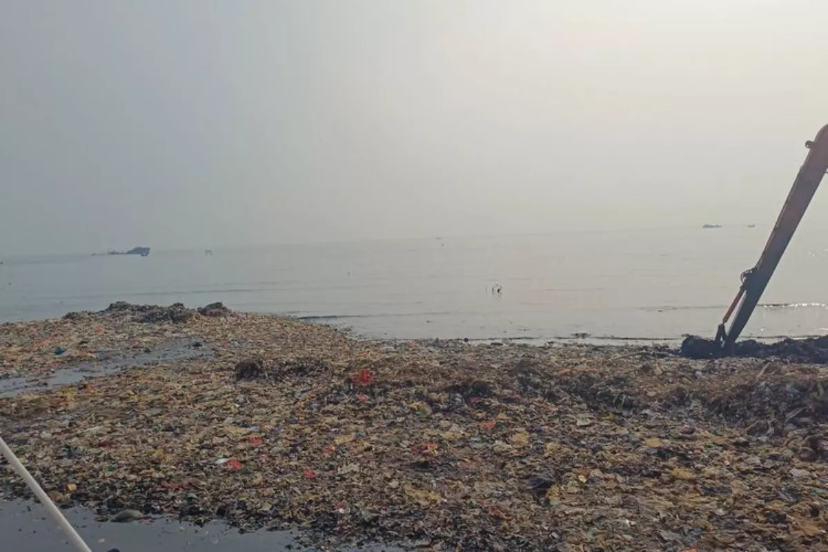 Fitoplankton Mampu "Mengunci" Karbon di Lautan hingga Ribuan Tahun