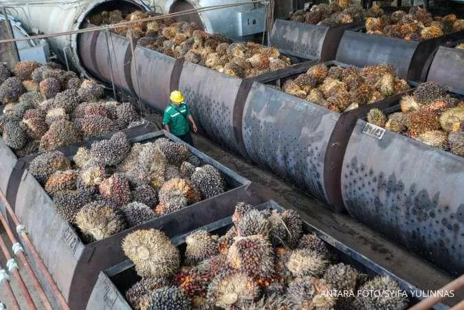 Negara Penghasil Minyak Kelapa Sawit Terbesar di Dunia Sangat Dominan