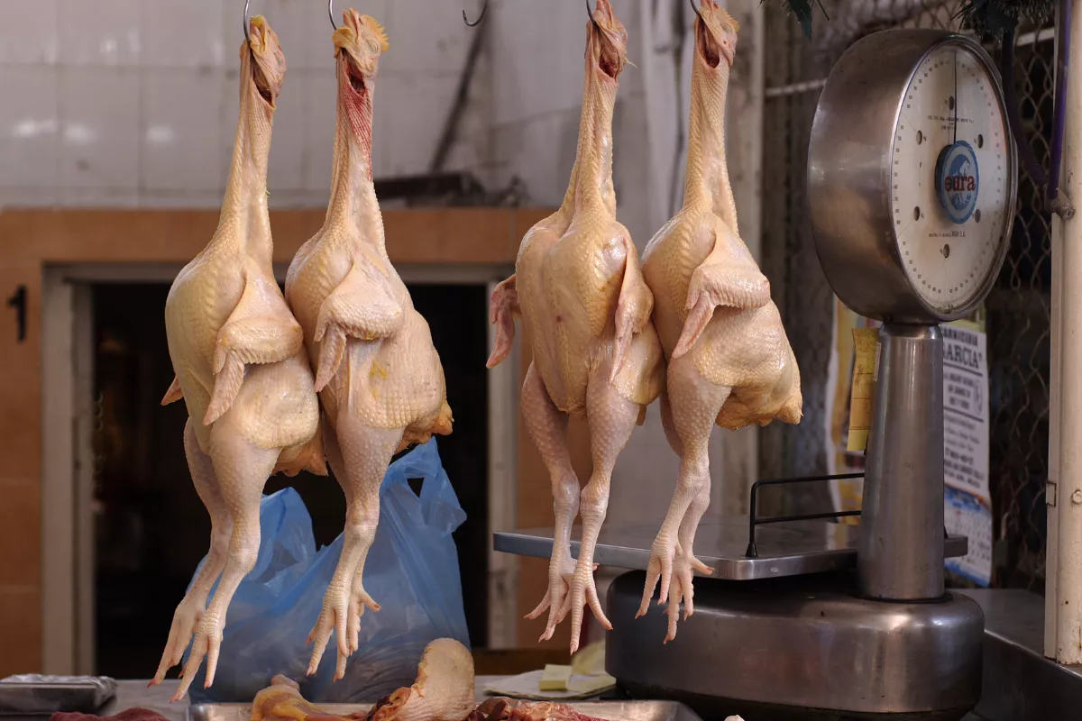 Pantau Pasar Mendag Tegaskan Pentingnya Harga Acuan Daging Ayam