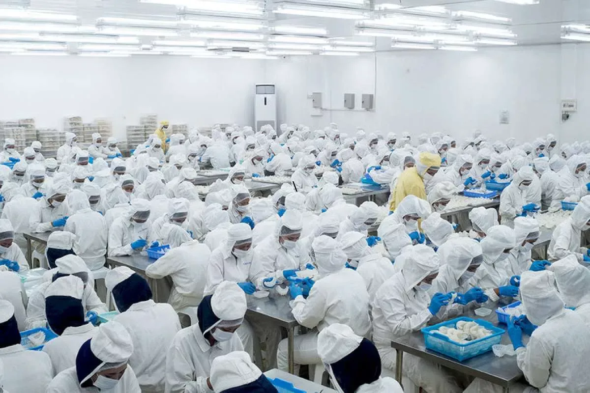 Pabrik Baru di Demak Rampung, NEST Gandakan Produksi Sarang Walet