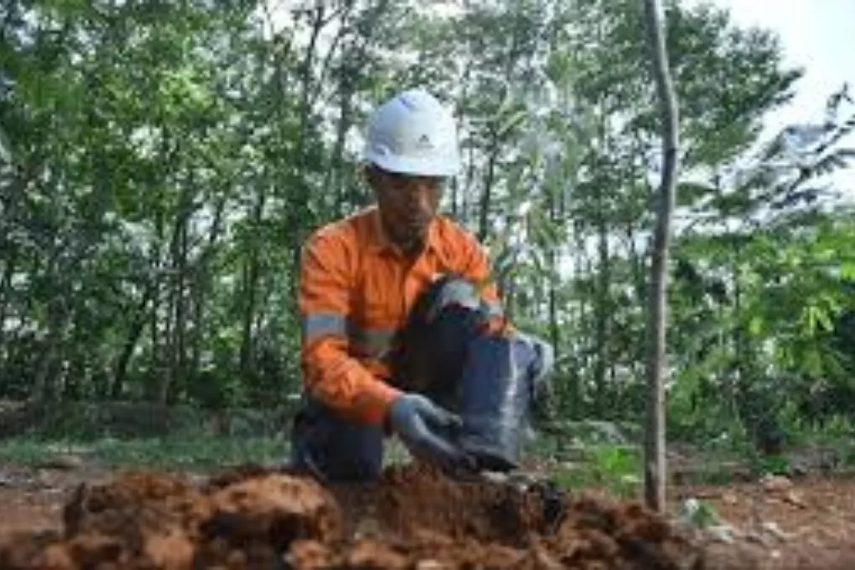 Restorasi Lingkungan MIND ID: 8.000 Hektare Lahan Bekas Tambang Pulih
