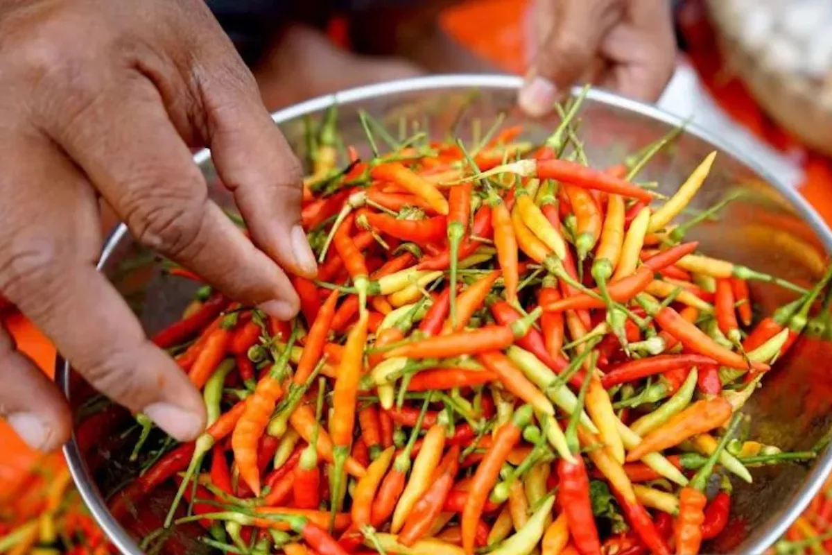 PIHPS: Harga Cabai Rawit Rp83.850/kg dan Telur Ayam Rp29.250/kg