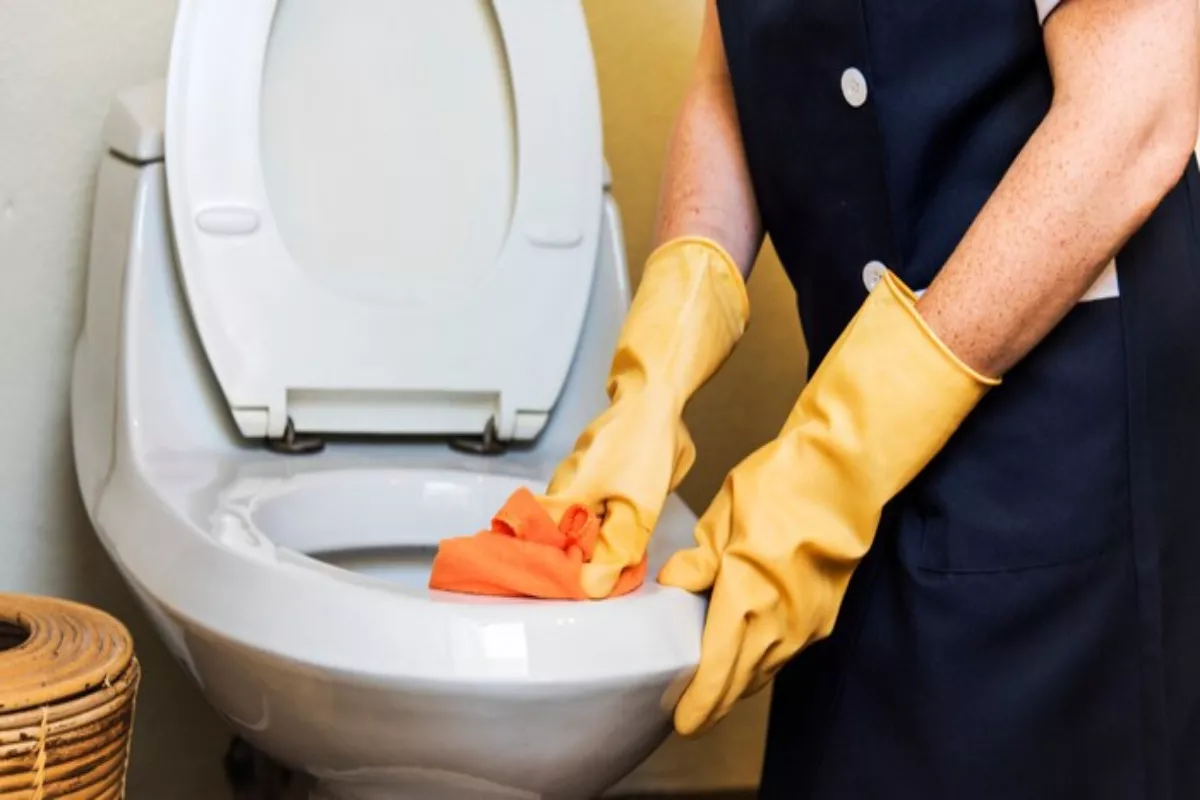 Solusi Cepat Cara Mengatasi WC Mampet Alami dalam 10 Menit