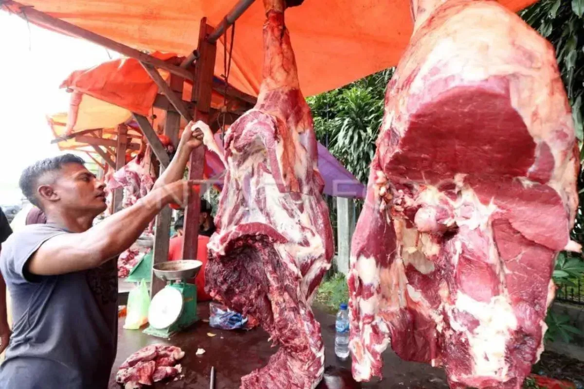 Harga Pangan 11 Mei 2026: Cabai Naik Tajam, Daging Sapi dan Beras Turun