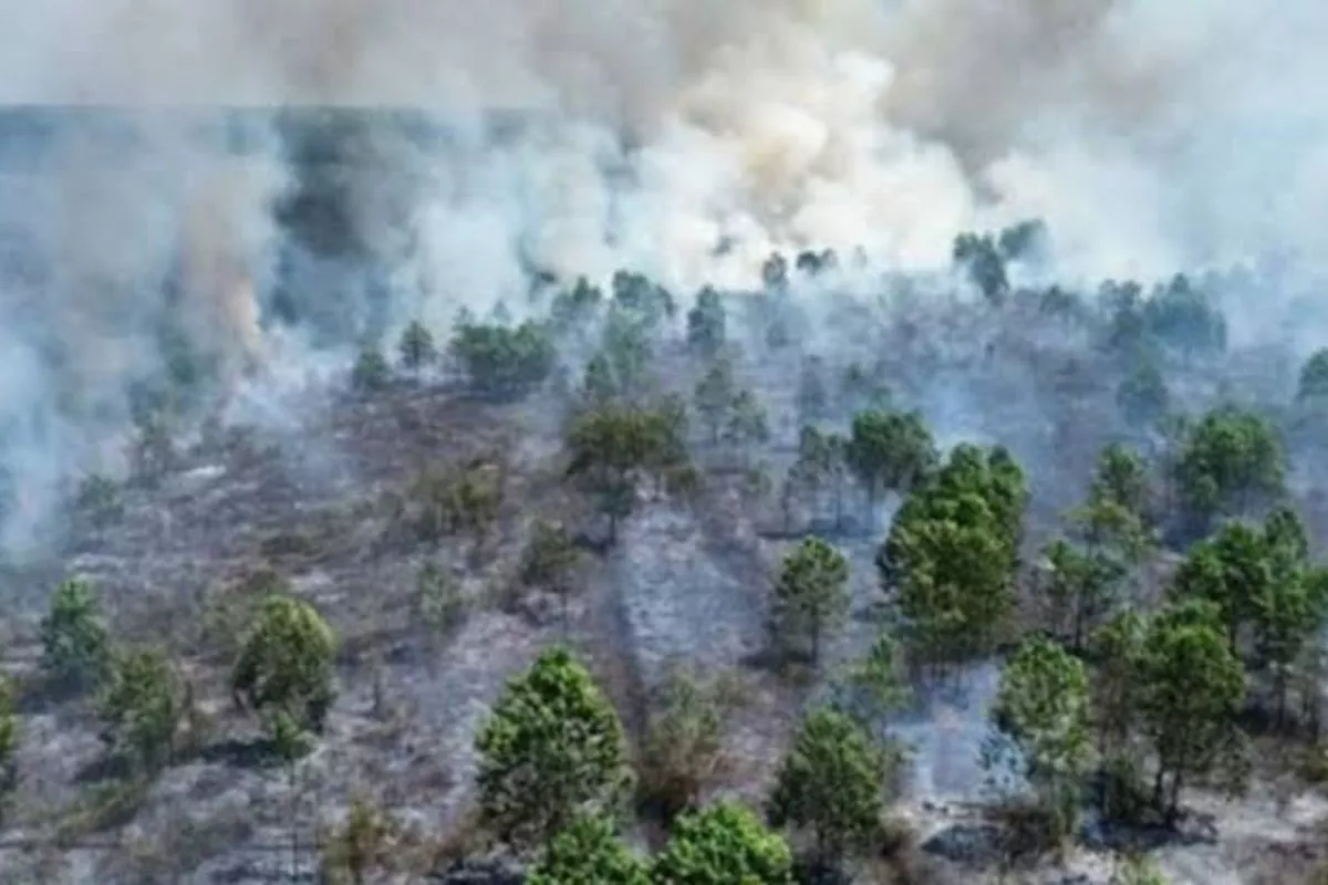 Atasi Karhutla, BNPB Siapkan Puluhan Helikopter di 6 Provinsi