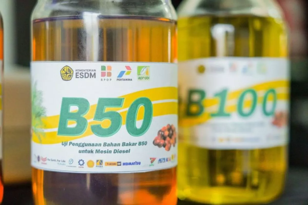 Kesaksian Pengemudi Terkait Performa Mesin Usai Penggunaan Solar B50