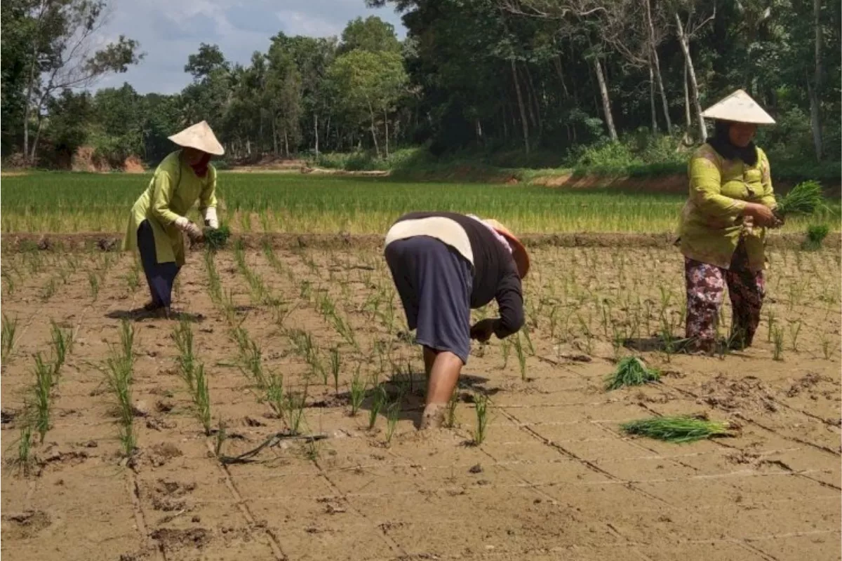 Zulhas Targetkan Indonesia Jadi Penghasil Ikan Terbesar di Dunia