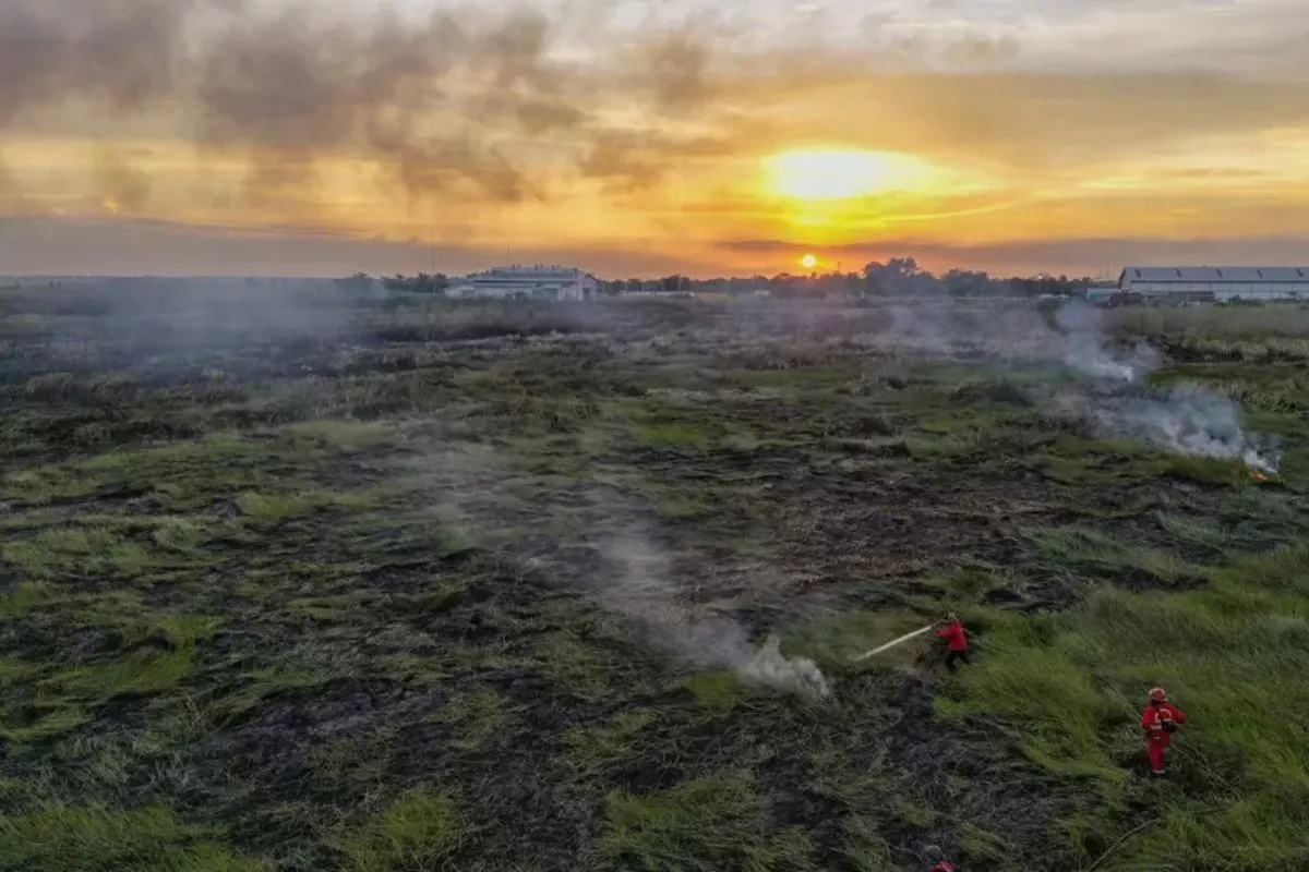 Tangani Karhutla Kerumutan, Pemprov Riau Menerjunkan 92 Personel