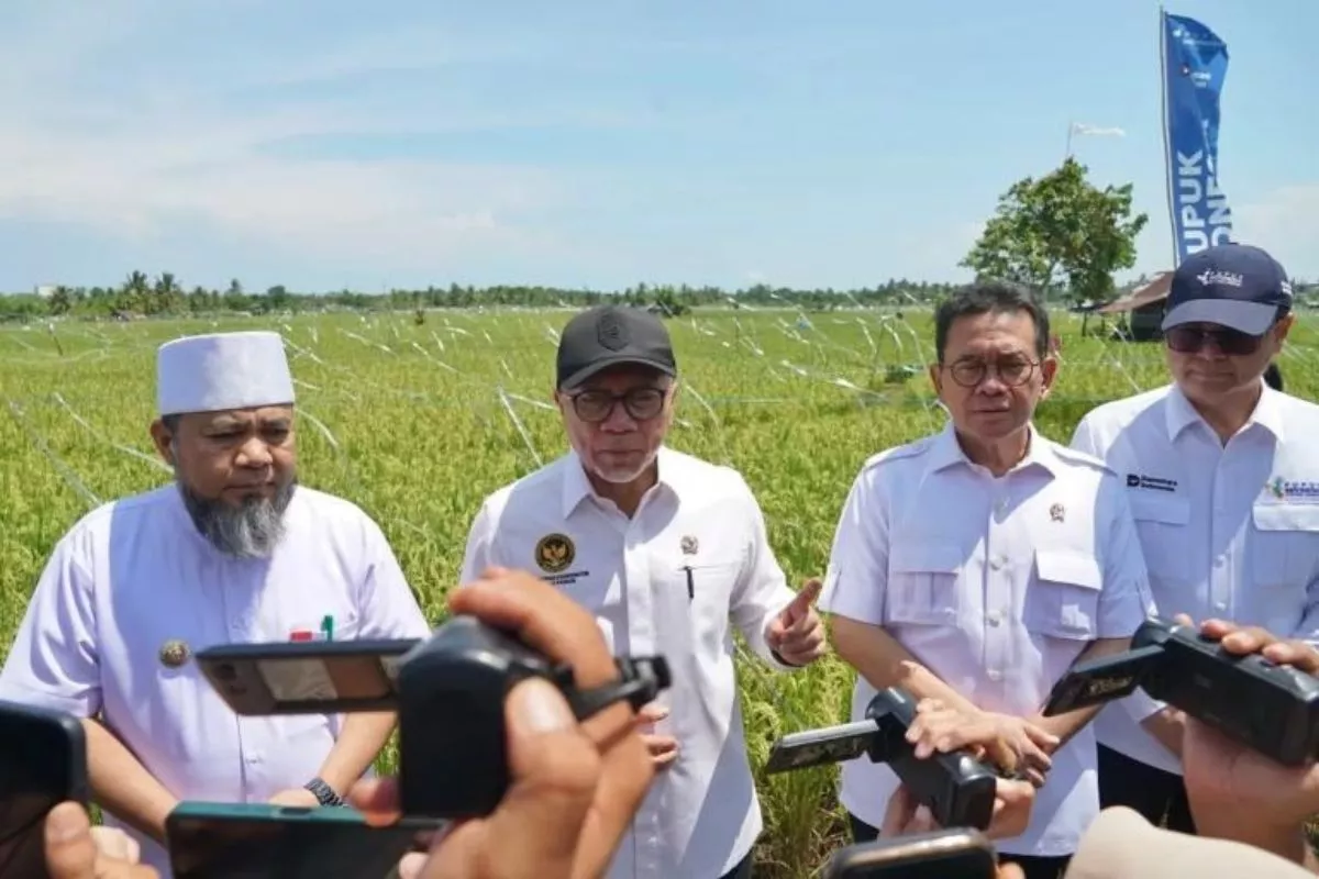 Menko Pangan Cek Harga Gabah dan Pupuk Subsidi Lewat Dialog Petani