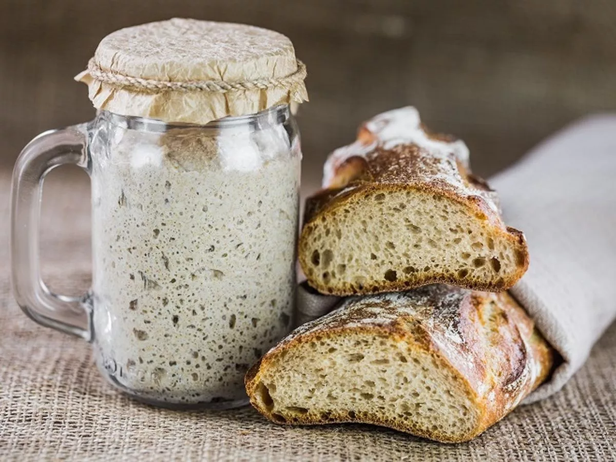 Alasan Medis Roti Sourdough Baik untuk Mengontrol Gula Darah Tubuh