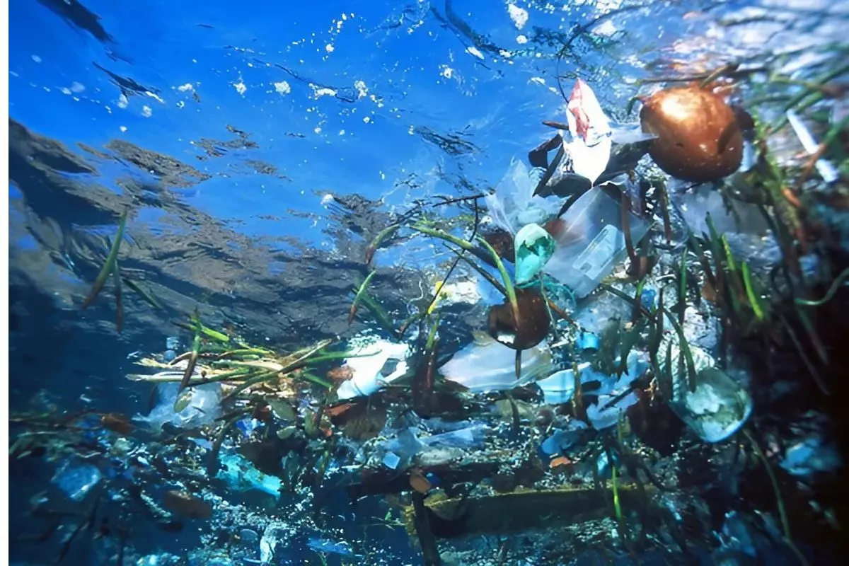 BRIN Ungkap Peran Vital Laut Dalam Bagi Ekosistem dan Energi Global