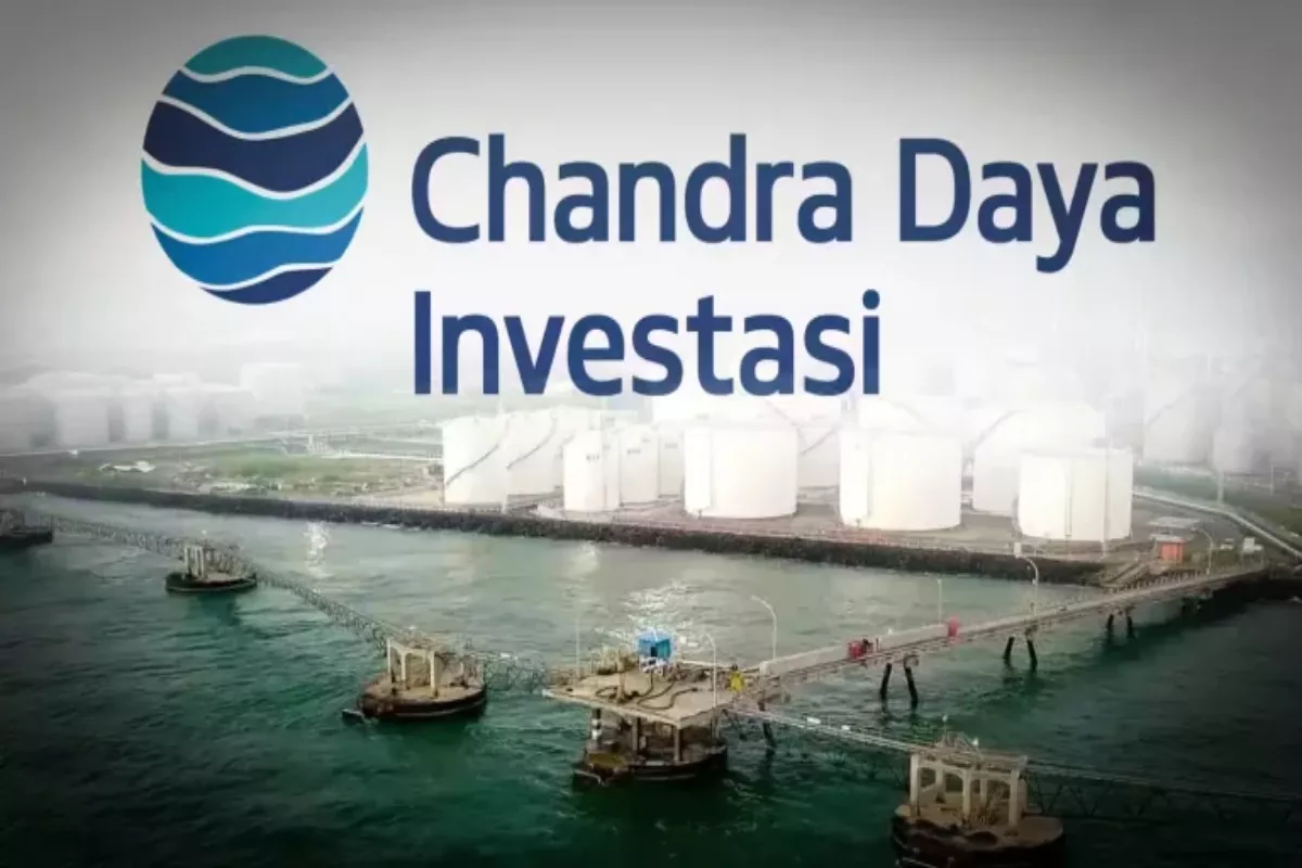 Kinerja CDIA Q1 2026: Pendapatan Naik 19%, Logistik Tumbuh 49%