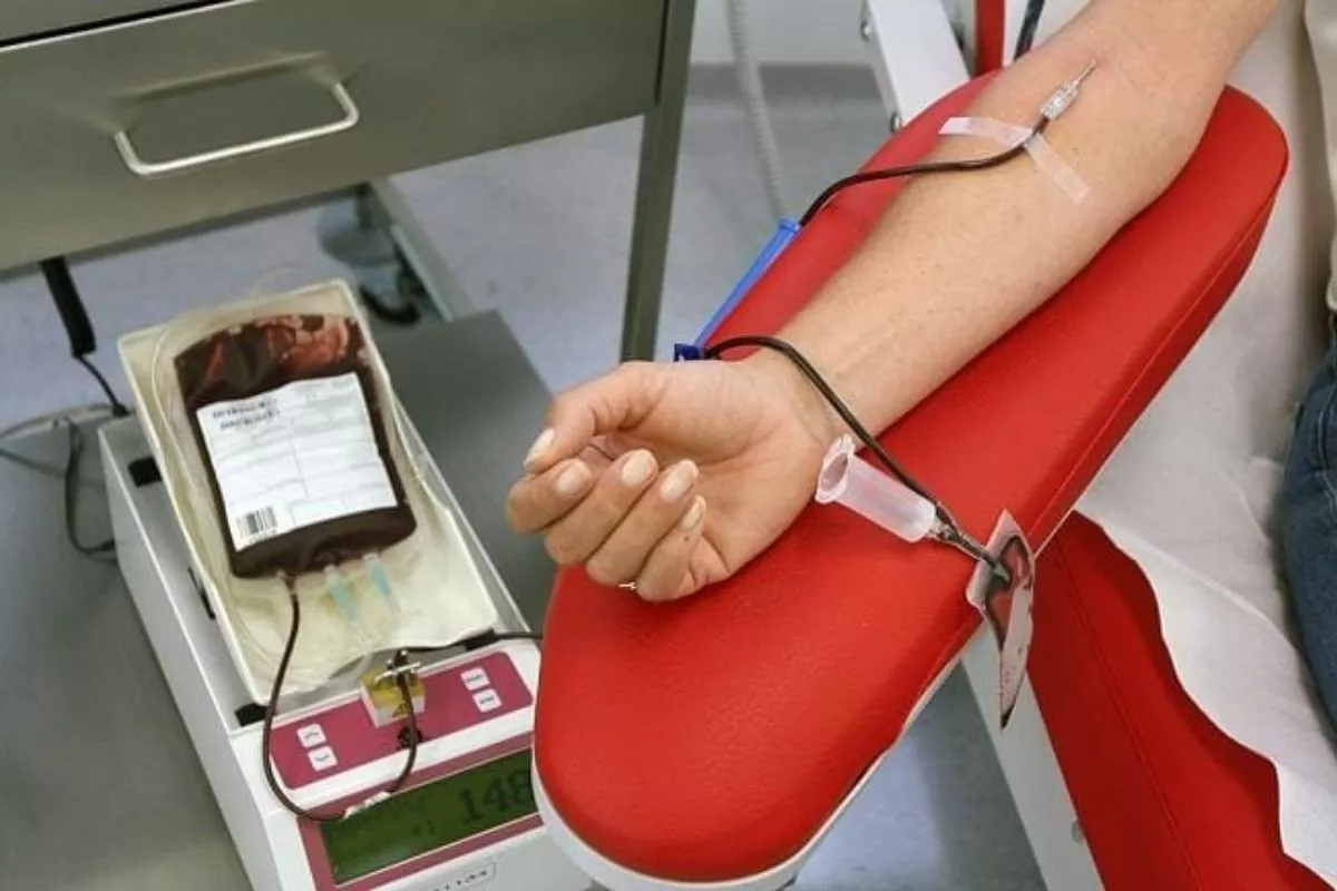 6 Manfaat Nyata Donor Darah untuk Kesehatan Tubuh dan Kurangi Stres