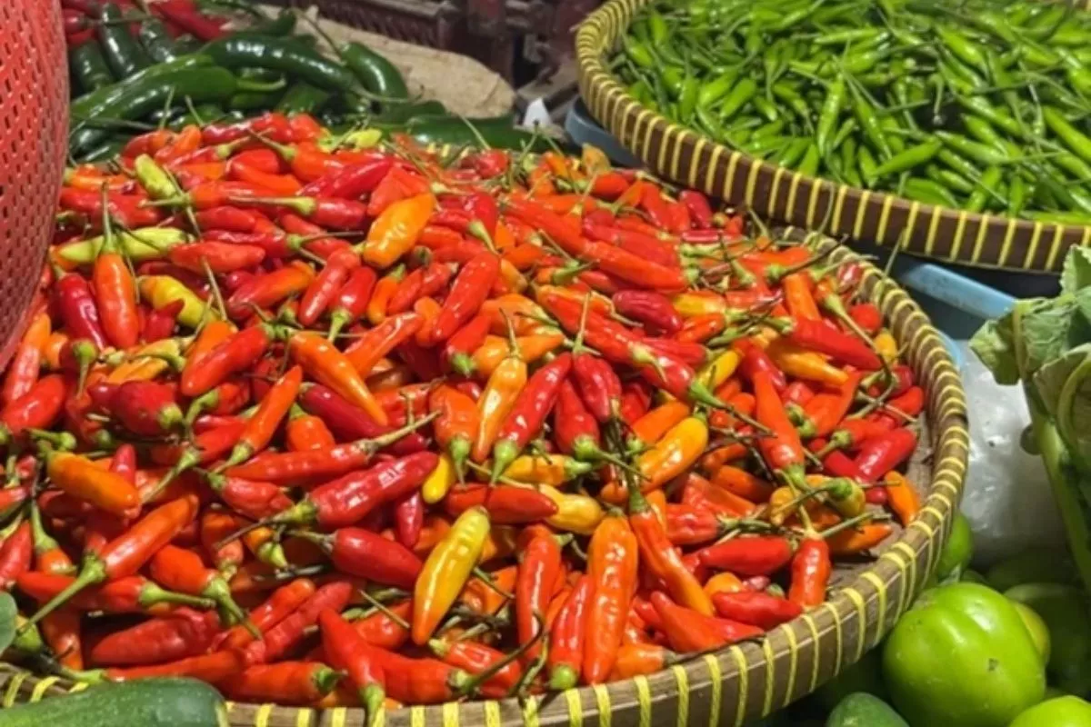 Harga Pangan Hari Ini: Cabai Rawit Rp 77.300 dan Telur Rp31.800 per Kg