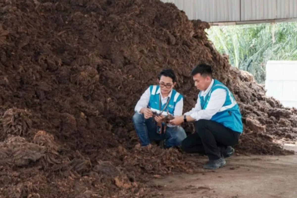 Pacu Energi Bersih, PLN EPI Optimalkan Kaliandra dan Sorgum