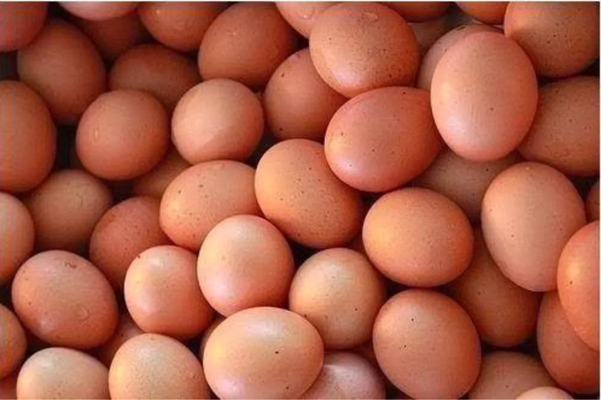 Harga Telur Ayam Rp29.750/Kg dan Bawang Merah Rp50.950/Kg Sabtu Pagi
