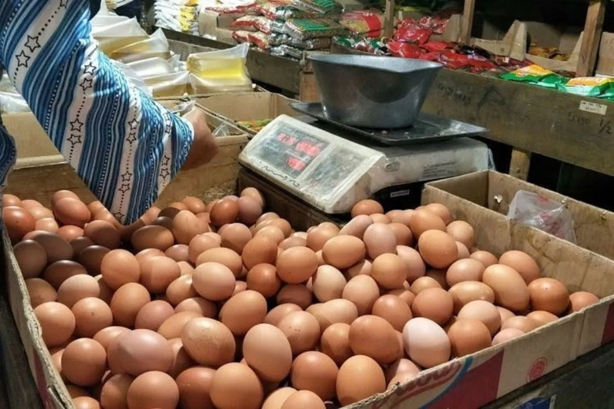 Harga Telur Masih Tinggi Warga Kota Bengkulu Siasati Belanja Harian