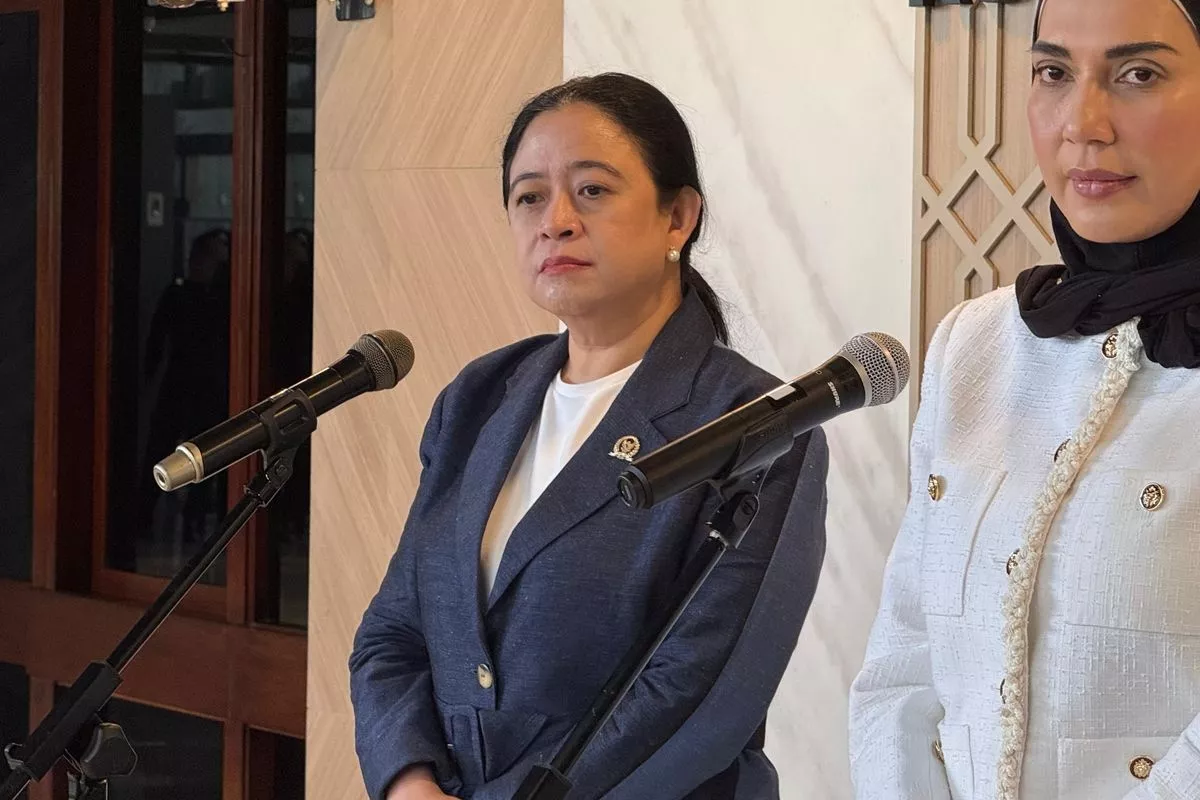 Puan Minta Kemlu Bangun Komunikasi Efektif Tangani Dampak Karhutla
