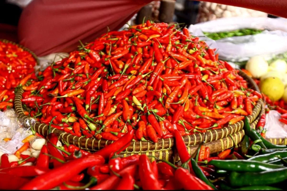 PIHPS Selasa: Harga Cabai Rawit Merah Rp57.050/Kg, Telur Ayam Rp29.100/Kg