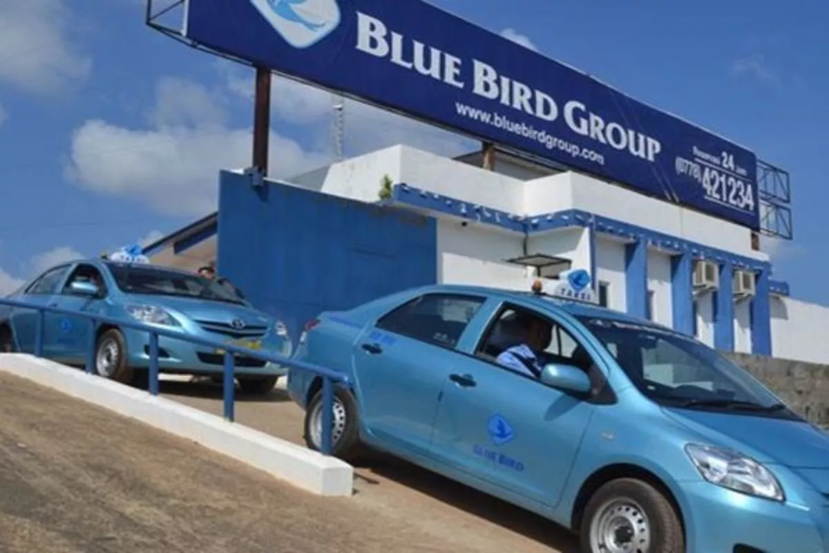 Saham Blue Bird Naik 9% dalam Sebulan, Dividen Capai 9,2%