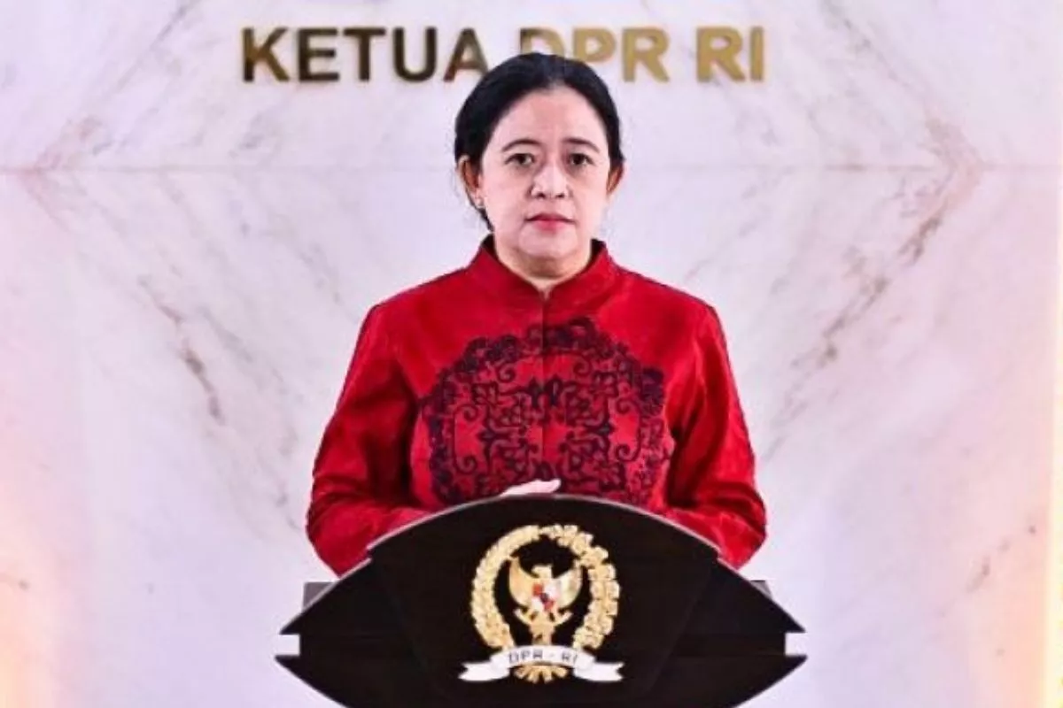 Tangani Karhutla, Puan Minta Pemerintah Perkuat Koordinasi