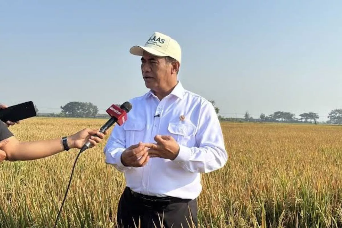 Mentan Sebut Benih BRMP Padi Hasilkan Produktivitas Sangat Tinggi