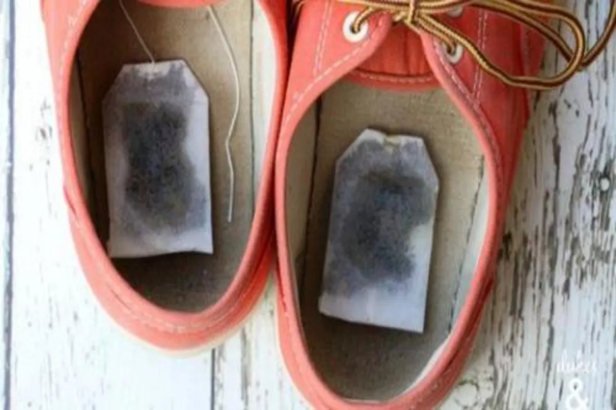 Cara Mengatasi Bau Sepatu dengan Mudah dan Cepat dalam Semalam