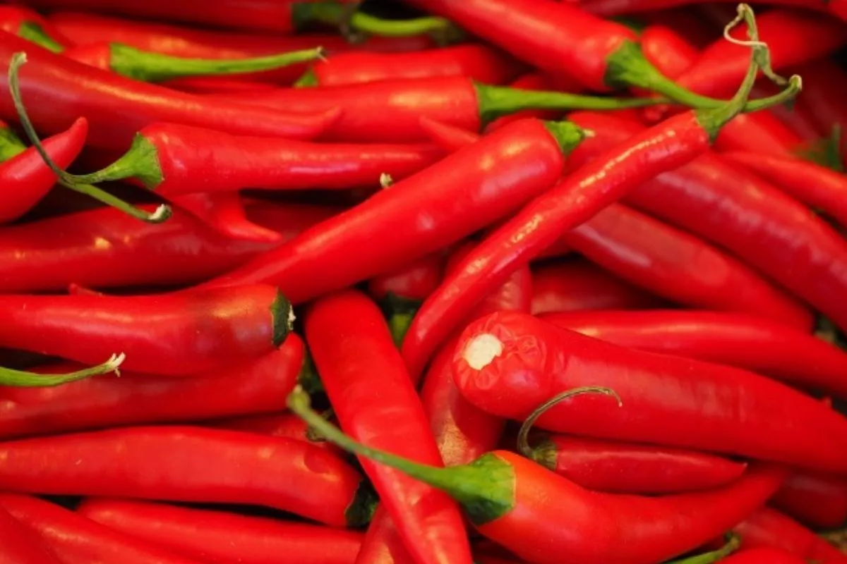 Harga Pangan Hari Ini: Cabai Merah Melonjak, Daging Ayam Ikut Naik