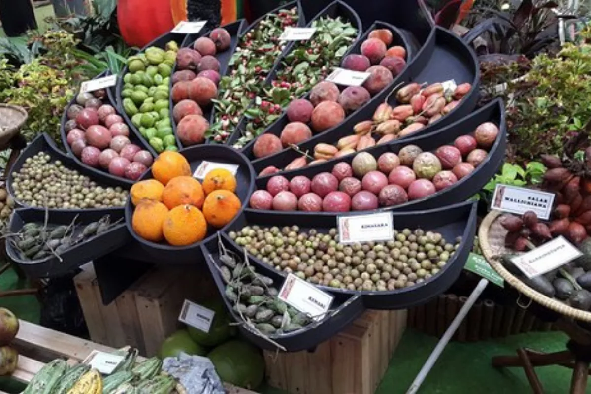 Nikmati Pilates hingga Kajian di Summer Marché Taza