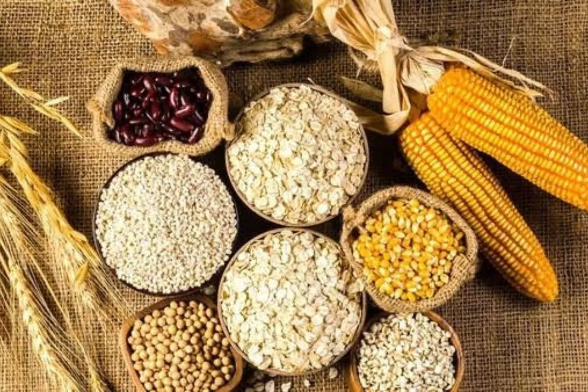 Indonesia-FAO Luncurkan Kerangka Kerja Pangan Berkelanjutan 2026-2030