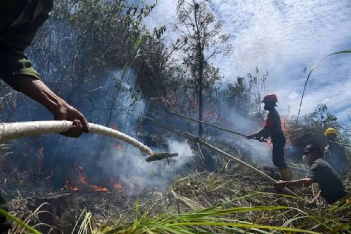 BMKG Ingatkan Potensi El Nino Kuat Picu Karhutla di Jawa Timur