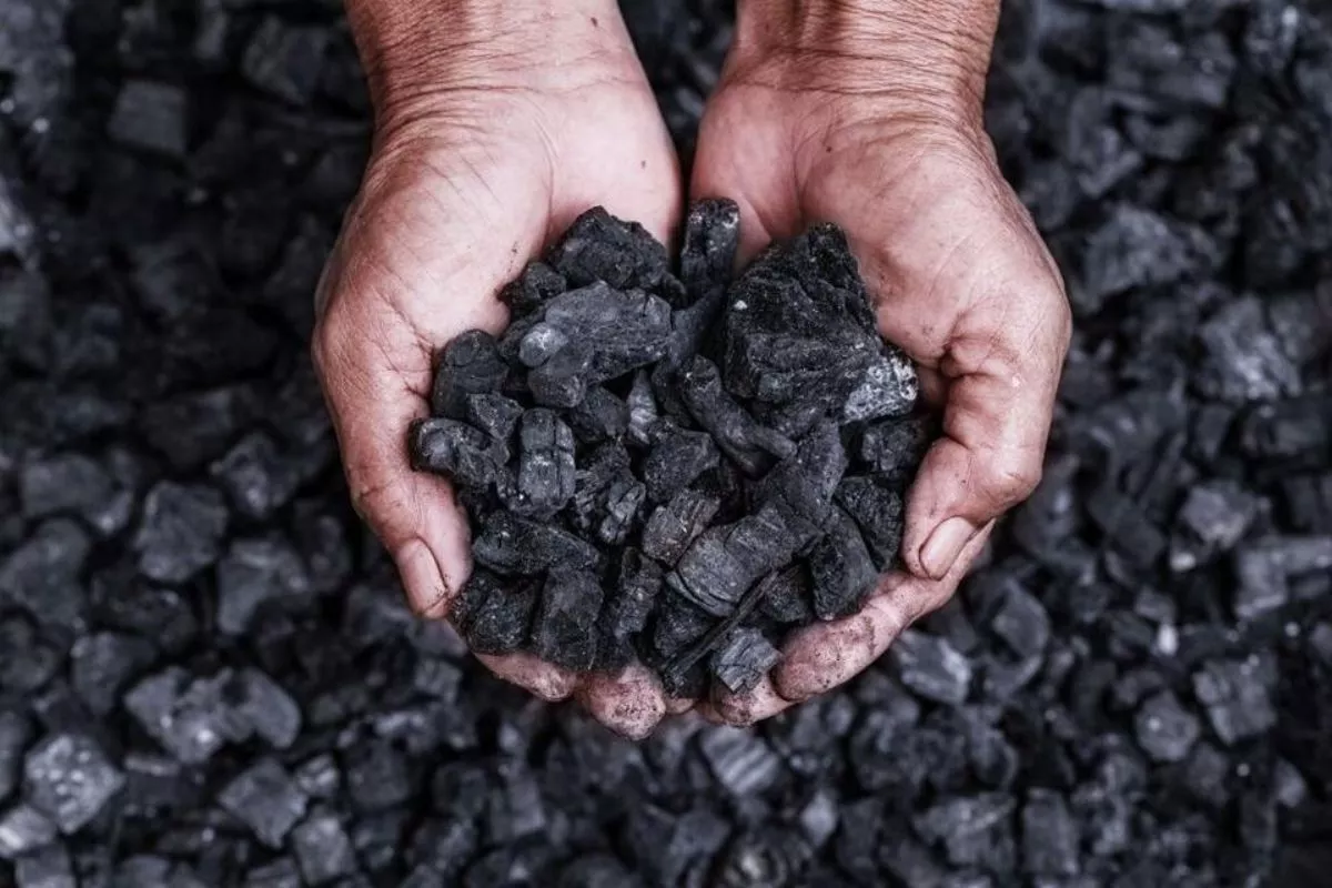 Harga Batu Bara Newcastle 18 Mei 2026 Naik ke USD132,5 per Ton
