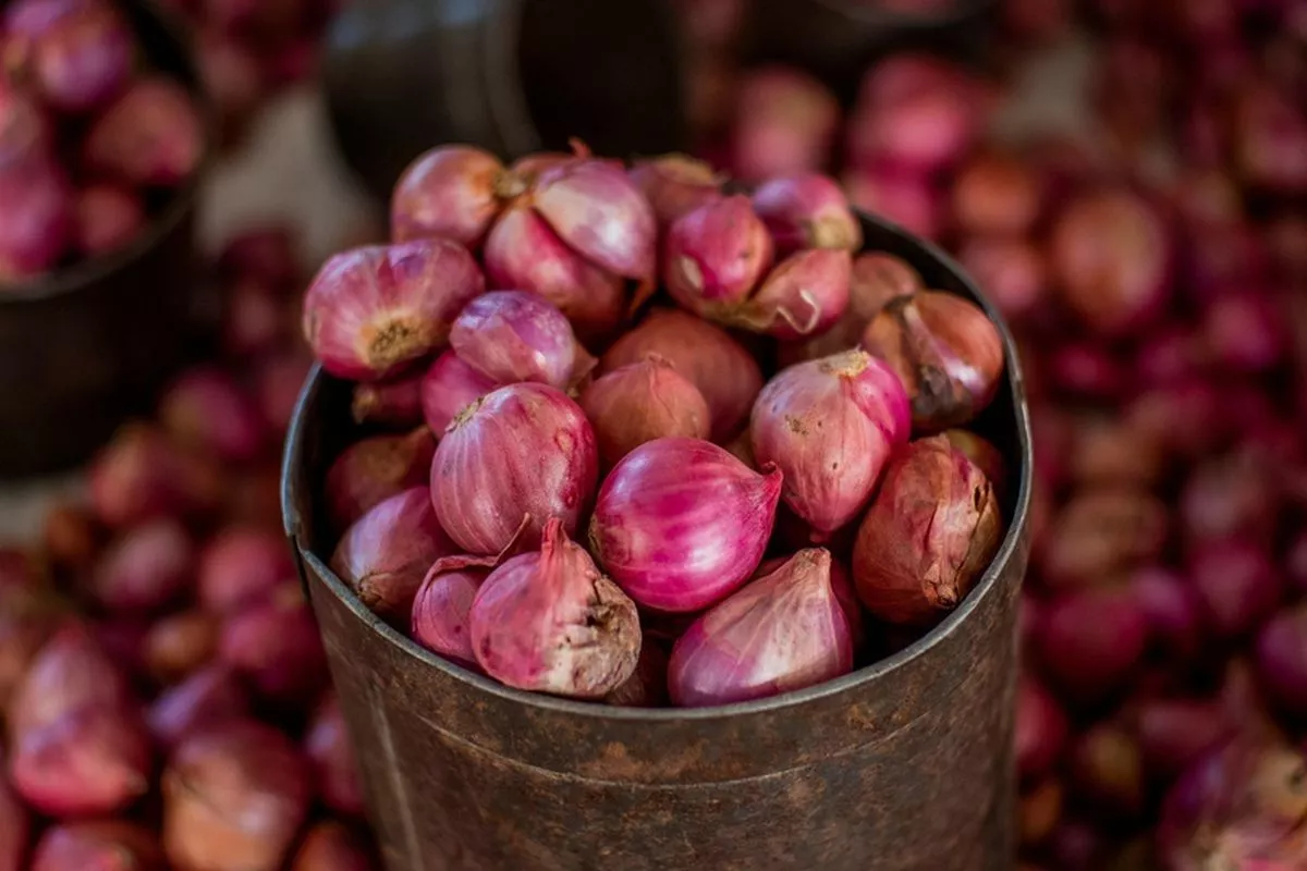 Update Harga Pangan: Bawang Merah Rp50.950, Daging Ayam Rp37.200/Kg