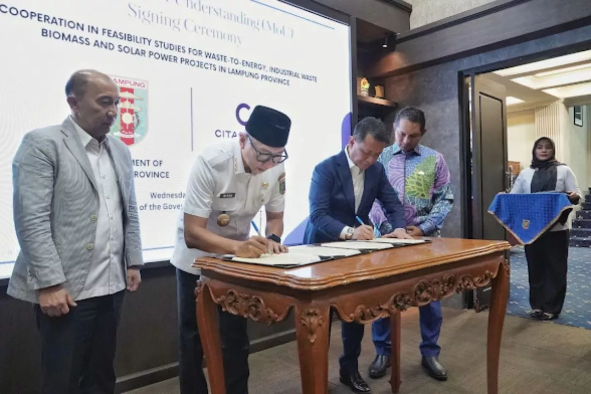 Lampung Fokus Investasi Energi Hijau dan Rehabilitasi Mangrove