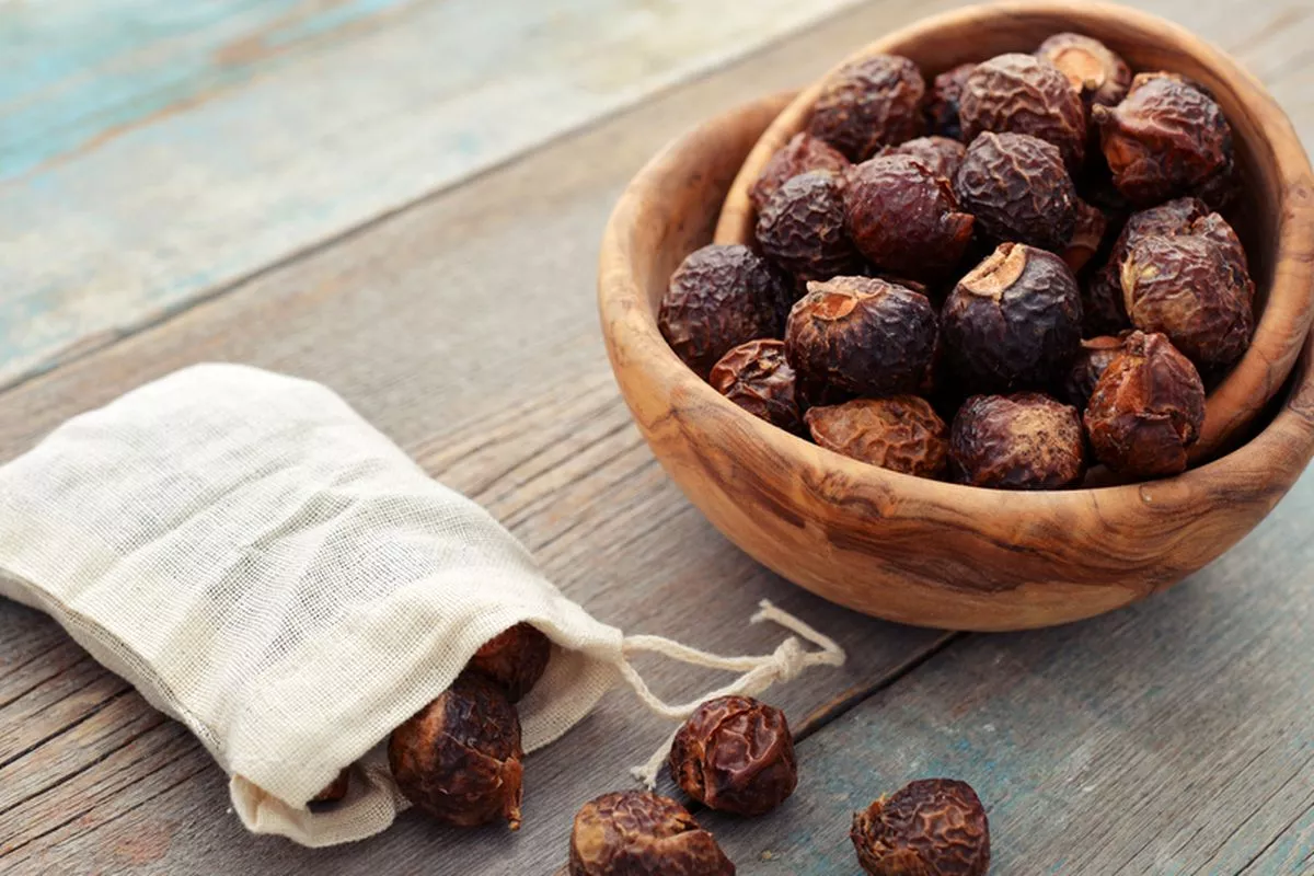 7 Cara Membuat Sabun Cuci Piring Alami Dari Buah Lerak