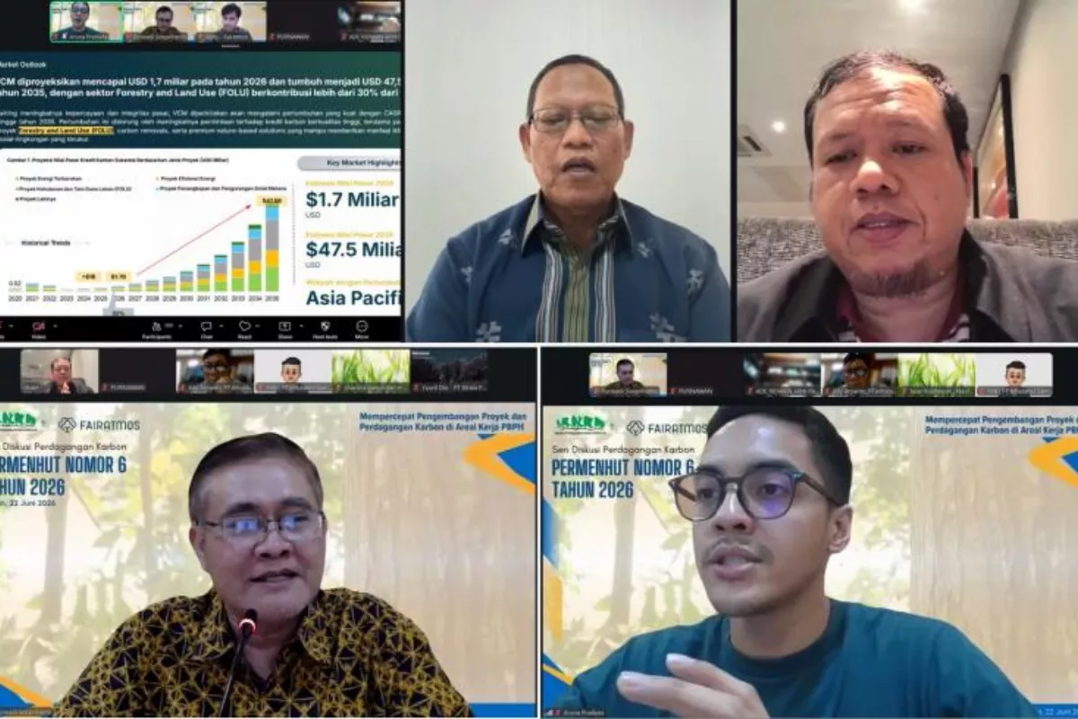 Pasar Karbon Kian Terang, APHI Pacu Pemegang PBPH Tangkap Potensi Baru
