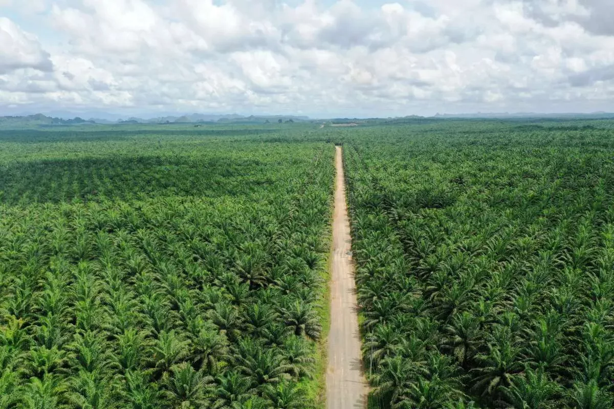 Heri Harjanto Resmi Jadi Direktur Utama Prime Agri Resources SGRO