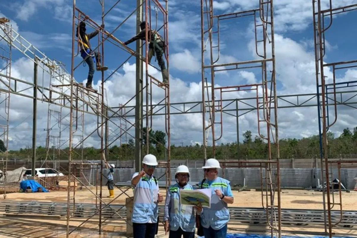 PLN EPI dan Itera Kembangkan Tanaman Energi Kaliandra dan Sorgum