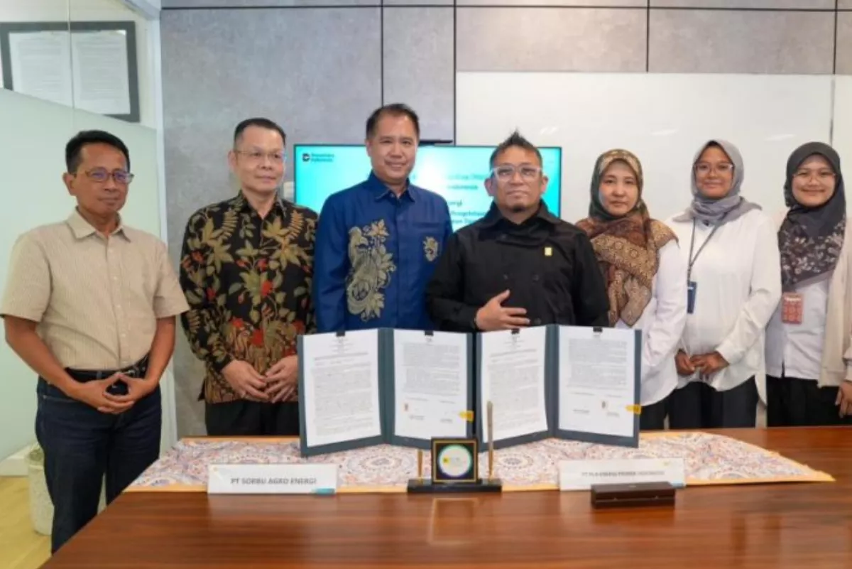 PLN EPI Gandeng Sorbu Agro Energi Kembangkan Bioenergi Sorgum