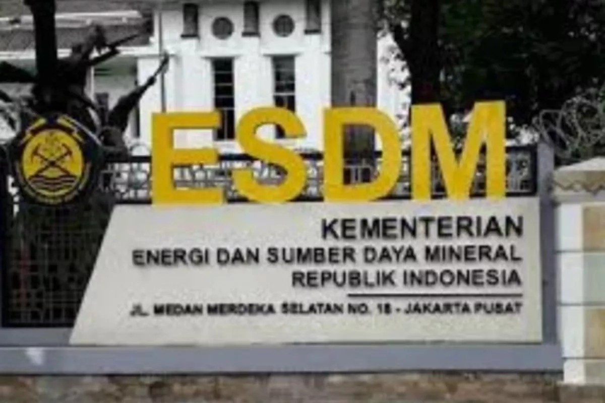 HBA Naik Lagi di Periode Kedua Juni 2026, Kalori Tinggi Capai US$ 123,91 
