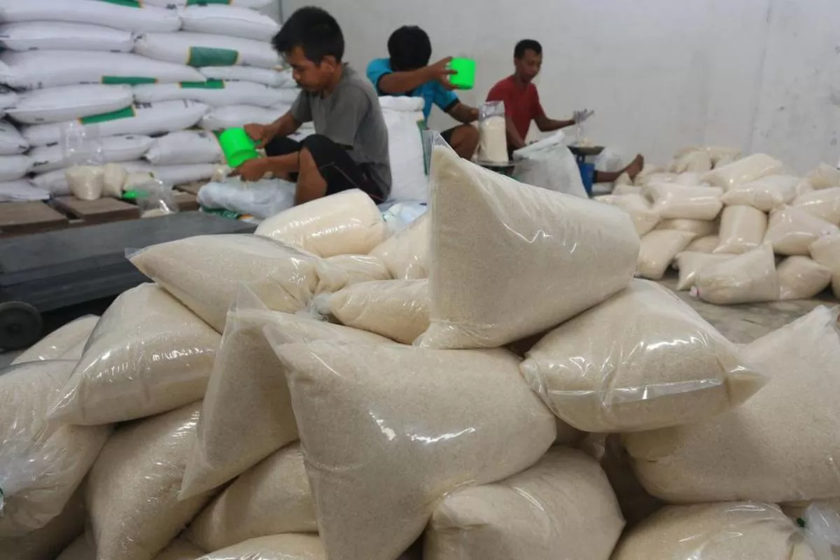 GULA Bidik Kenaikan Penjualan Lewat Akuisisi Pabrik Gula di Sragen