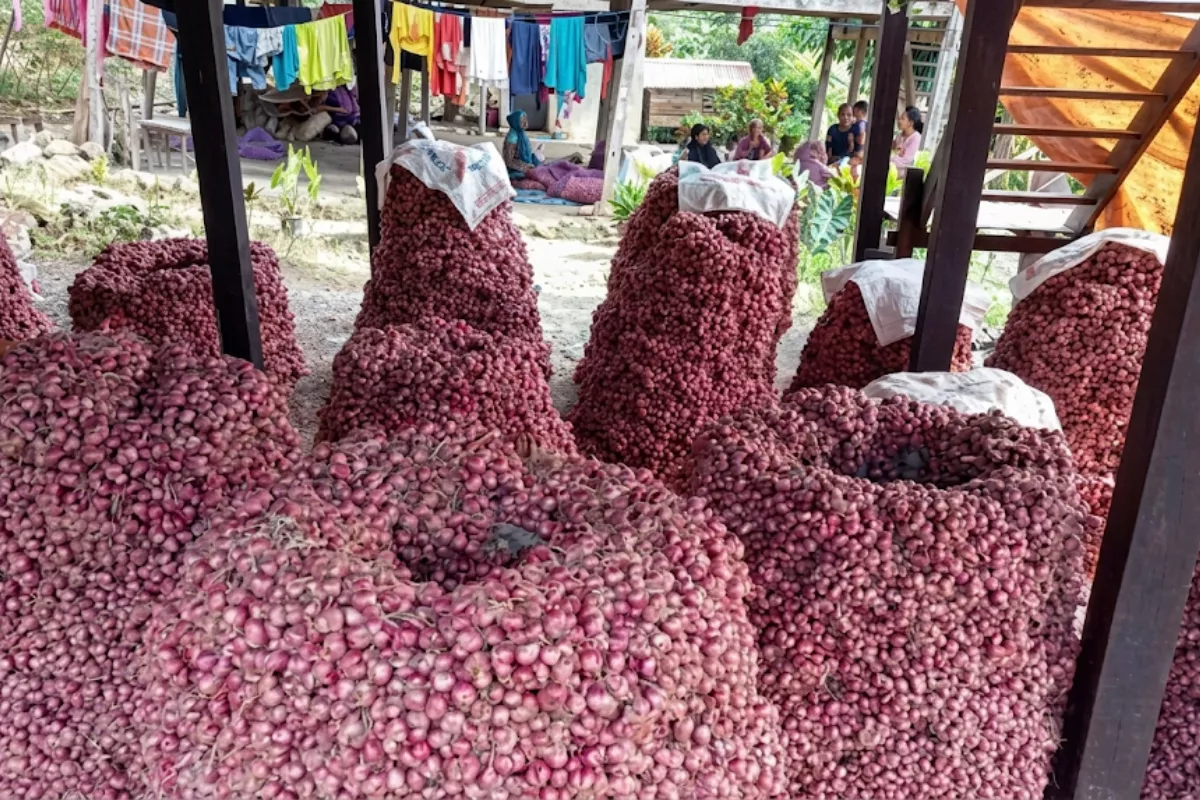 Harga Pangan Hari Ini Senin 25 Mei 2026: Bawang dan Cabai Naik