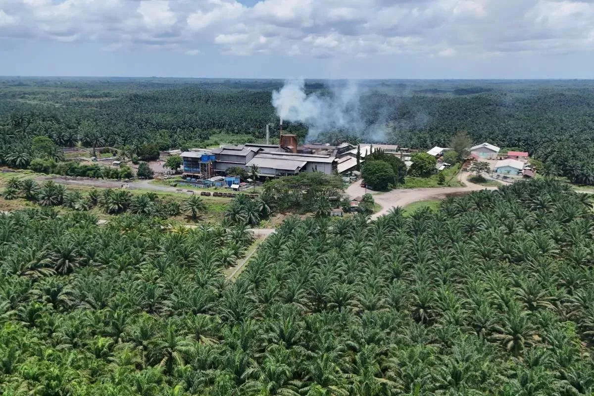Kebijakan Biofuel Global Jaga Harga CPO Tetap Stabil di Juni 2026