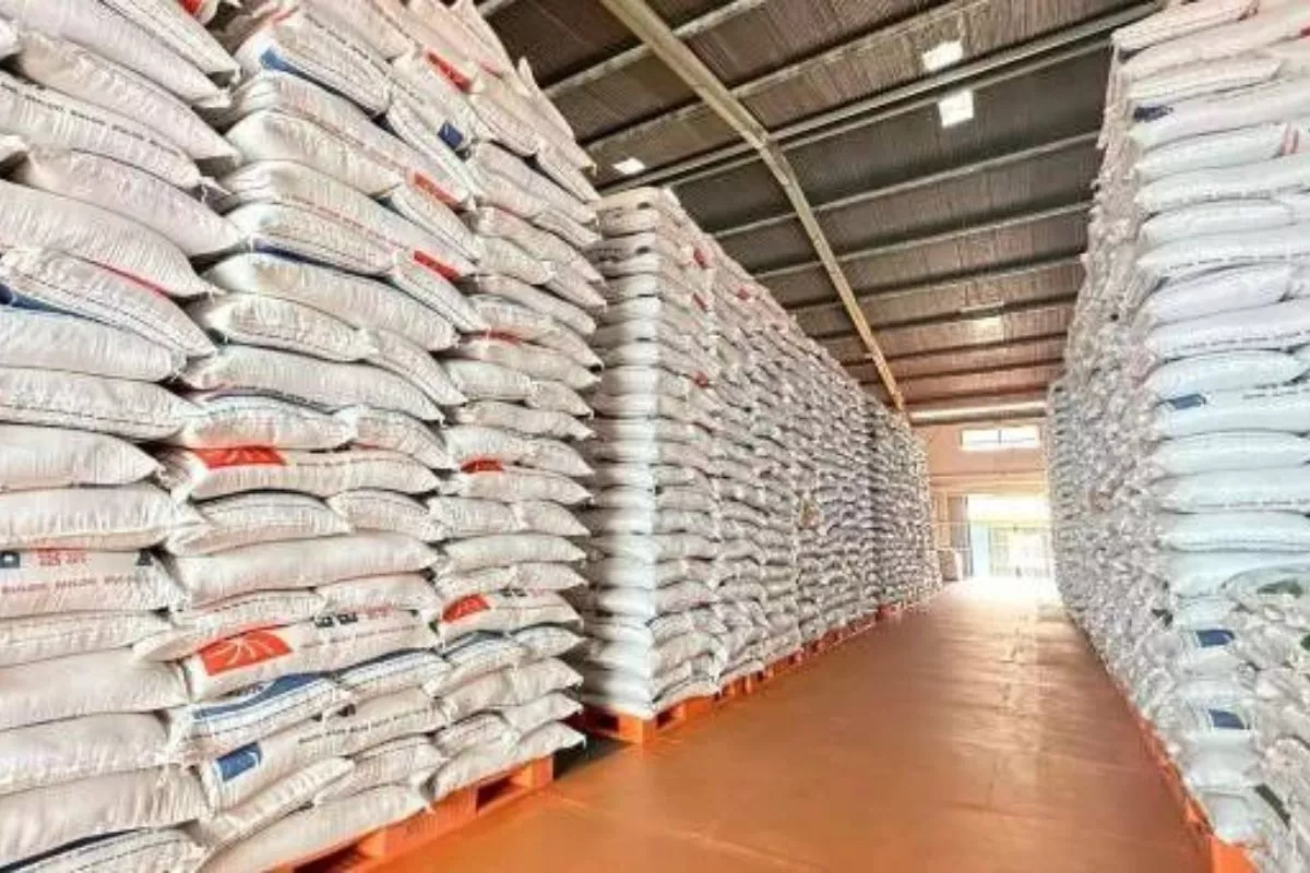 Antisipasi El Nino, RI Perkuat Stok Beras, Jagung, hingga Daging Ayam