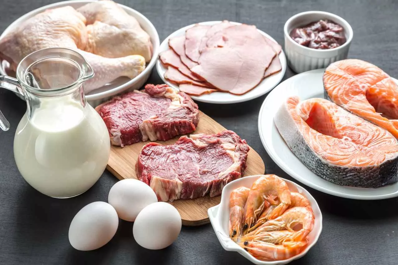 8 Fungsi Protein Bagi Tubuh Yang Sangat Vital Untuk Kesehatan