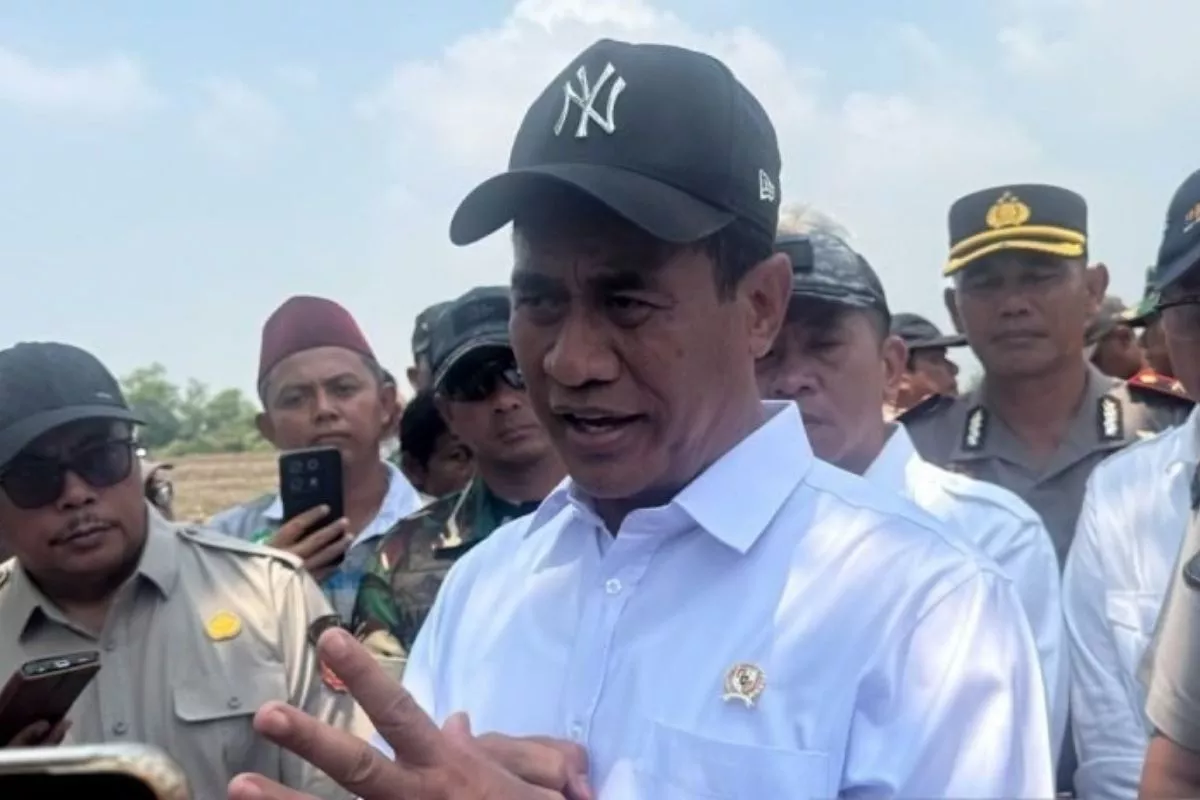 Mentan Cek Langsung Ancaman Kekeringan Areal Persawahan di Karawang