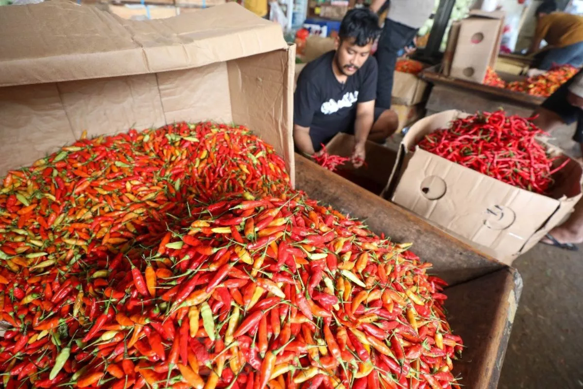 Cabai dan Ayam Turun, Harga Pangan di Cirebon Mayoritas Melandai