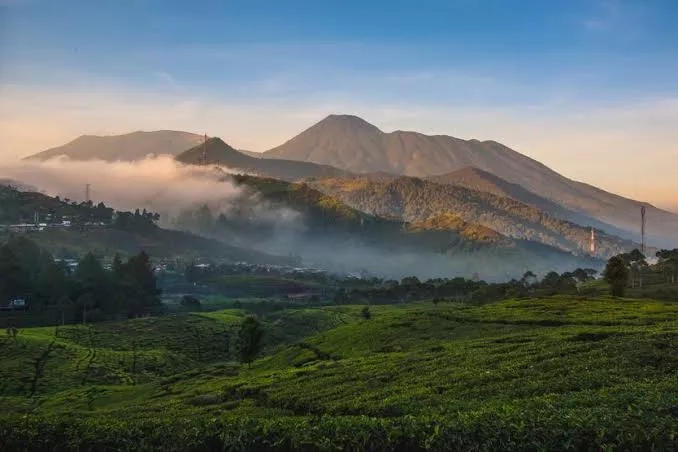 Imbas Kebakaran, Jalur Pendakian Gunung Gede Ditutup 7 Agustus 2026