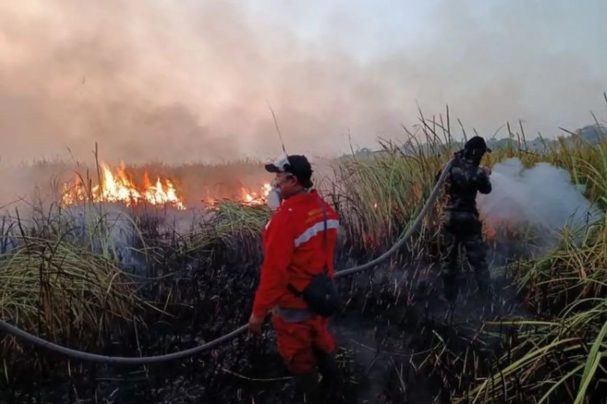 Prabowo Dorong Kenaikan Anggaran Mitigasi Bencana
