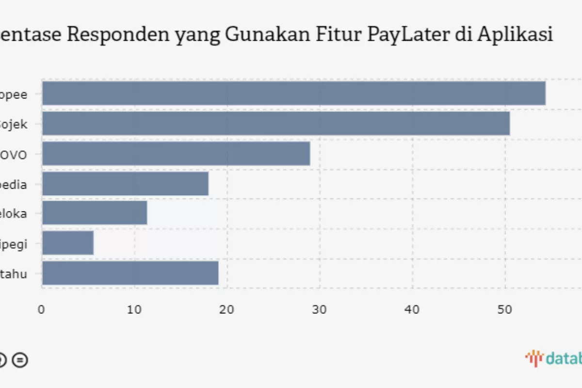 Bukti Minat Masyarakat Indonesia Menggunakan Fitur Pay Later Meningkat